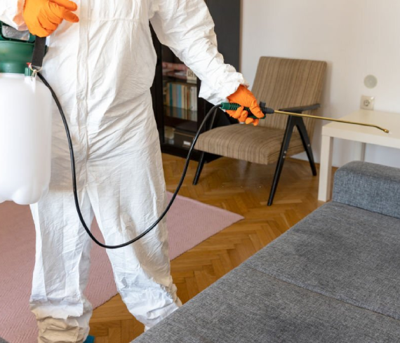 same day pest control